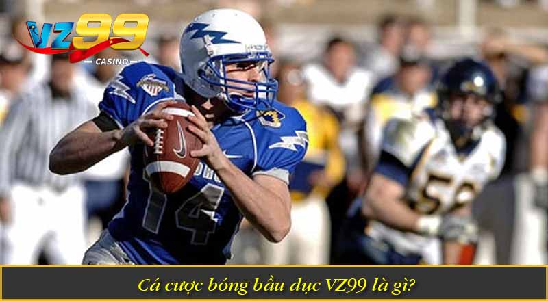 Cá Cược Bóng Bầu Dục VZ99 – Tận Hưởng Kèo Thể Thao Đỉnh Cao 4 Cá cược bóng bầu dục VZ99 là gì?