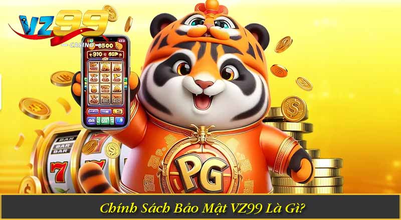 Chính Sách Bảo Mật 7 Chính Sách Bảo Mật VZ99 Là Gì?